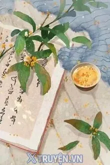 TƯƠNG TƯ KHÔNG BIỆT LY