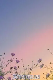 TÔI MẤT VÀO NĂM TÔI YÊU ANH NHẤT