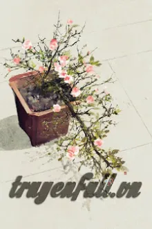 NHỮNG ĐÓA HOA KHÔNG TÀN ÚA