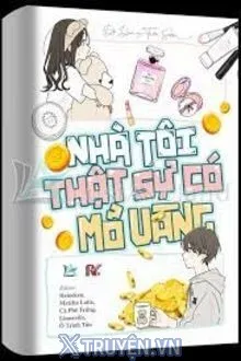 NHÀ TÔI THẬT SỰ CÓ MỎ VÀNG