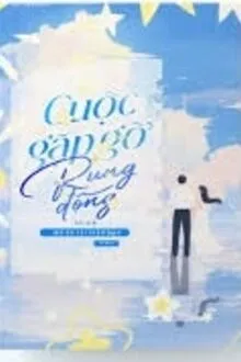 CUỘC GẶP GỠ RUNG ĐỘNG