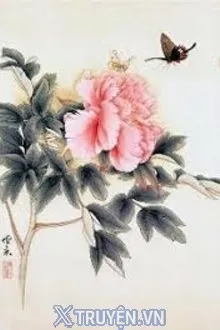TÌNH MẪU ĐƠN