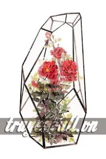 ĐOẢN NGỌT - TÌNH VĂN