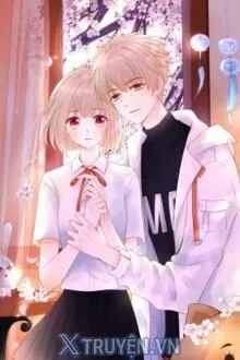 NỢ MỘT LỜI XIN LỖI