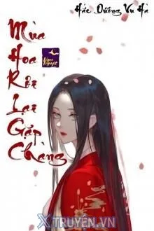 MÙA HOA RƠI LẠI GẶP CHÀNG