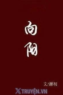 HƯỚNG DƯƠNG - HÒA NGÔ
