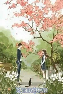 ĐÁP ÁN CỦA THANH XUÂN