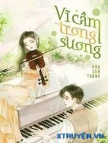 VĨ CẦM TRONG SƯƠNG