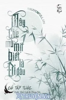 MÂY CHE MÙ MỊT BIẾT LÀ ĐI ĐÂU