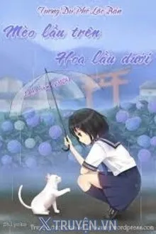 MÈO TRÊN LẦU – HOA DƯỚI LẦU