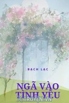 NGÃ VÀO TÌNH YÊU