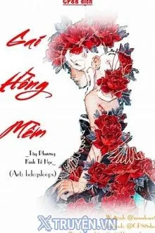 GAI HỒNG MỀM