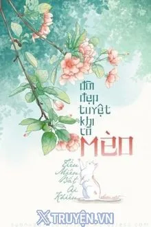 ĐỜI TUYỆT ĐẸP KHI CÓ MÈO