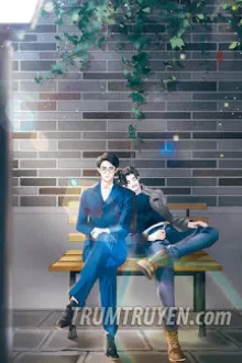 NGƯỜI KHÔNG THƯƠNG TA, TA LEO TƯỜNG