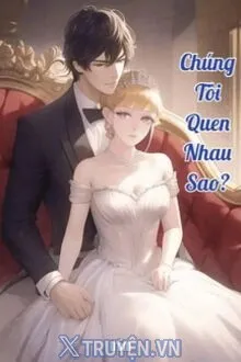 CHÚNG TÔI QUEN NHAU SAO?