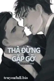 THÀ ĐỪNG GẶP GỠ (ĐAM MỸ)
