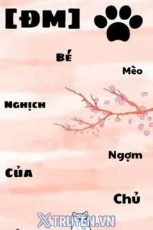 BÉ MÈO NGHỊCH NGỢM CỦA CHỦ TỊCH