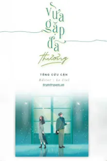 VỪA GẶP ĐÃ THƯƠNG (NHẤT NIỆM SƠ KIẾN)