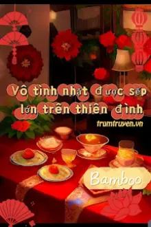 VÔ TÌNH NHẶT ĐƯỢC SẾP LỚN TRÊN THIÊN ĐÌNH