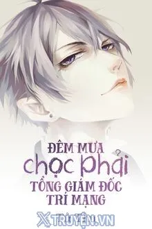 ĐÊM MƯA CHỌC PHẢI TỔNG GIÁM ĐỐC TRÍ MẠNG