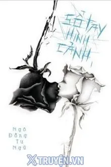 SỔ TAY HÌNH CẢNH