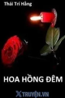 HOA HỒNG ĐÊM