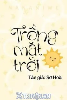 TRỒNG MẶT TRỜI