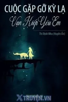 CUỘC GẶP GỠ KỲ LẠ: VẠN KIẾP YÊU EM