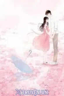MỘT ĐÓA HOA HỒNG GAI