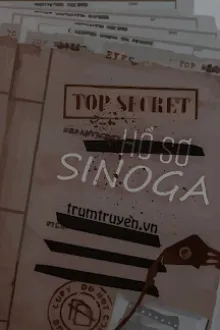 HỒ SƠ SINOGA