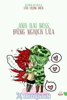 ANH HAI BOSS, ĐỪNG NGHỊCH LỬA