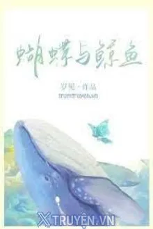 HỒ ĐIỆP CÙNG KÌNH NGƯ