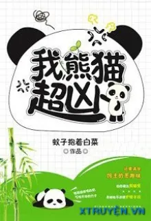 TA, GẤU TRÚC, SIÊU HUNG