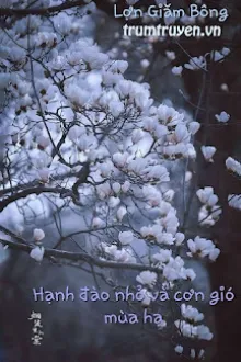 HẠNH ĐÀO NHỎ VÀ CƠN GIÓ MÙA HẠ