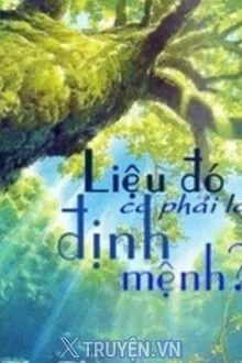 LIỆU ĐÓ CÓ PHẢI LÀ ĐỊNH MỆNH?