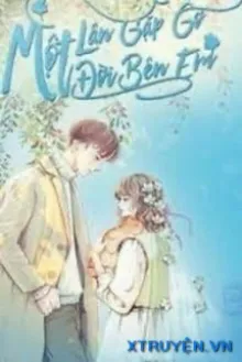 MỘT LẦN GẶP GỠ, MỘT ĐỜI BÊN EM