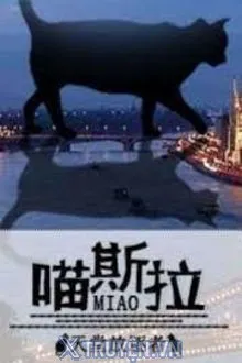 MÈO ZILLA