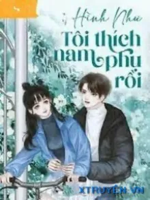 HÌNH NHƯ TÔI THÍCH NAM PHỤ RỒI