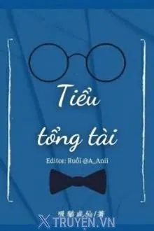 TIỂU TỔNG TÀI