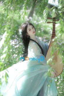 Huyết Ảnh Hoàng Tâm