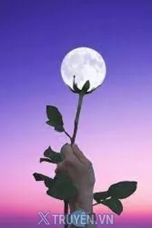 TRĂNG TRÒN VỪA LÚC HOA ĐÃ TÀN