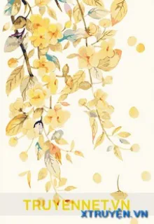 XIN CHÀO, CHỒNG TRƯỚC