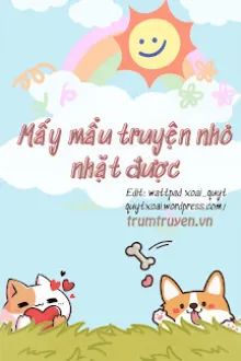 MẤY MẨU TRUYỆN NHỎ NHẶT ĐƯỢC KHI ĐI DẠO MỘT VÒNG