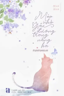 MÈO NHỎ YÊU ĐƯƠNG TRONG NẮNG HẠ