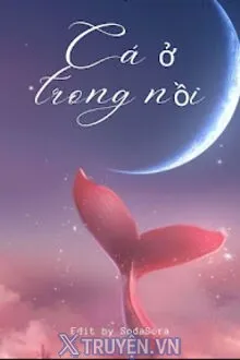 CÁ Ở TRONG NỒI