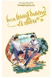HOA HƯỚNG DƯƠNG VÀ MÈO
