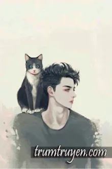 CON MÈO VÔ LƯƠNG TÂM