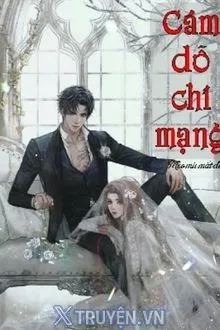 ĐỘC TÌNH CÁM DỖ CHÍ MẠNG