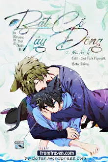 BẤT CỐ TÂY ĐÔNG