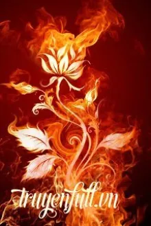 PHƯỢNG HOÀNG HỒI SINH